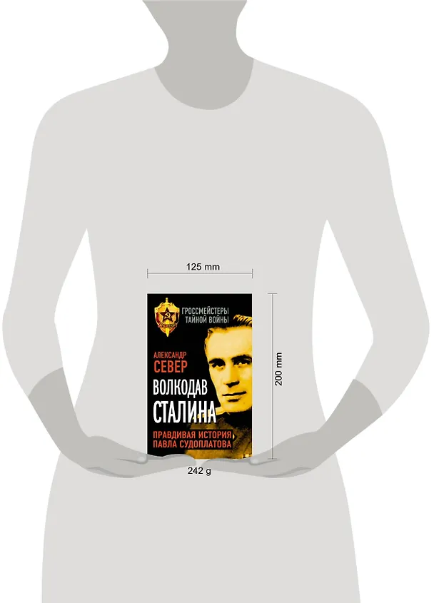 Книга Волкодав Сталина. Правдивая история Павла Судоплатова (Александр Север) — 4