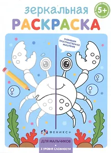 Зеркальная раскраска. Для мальчиков