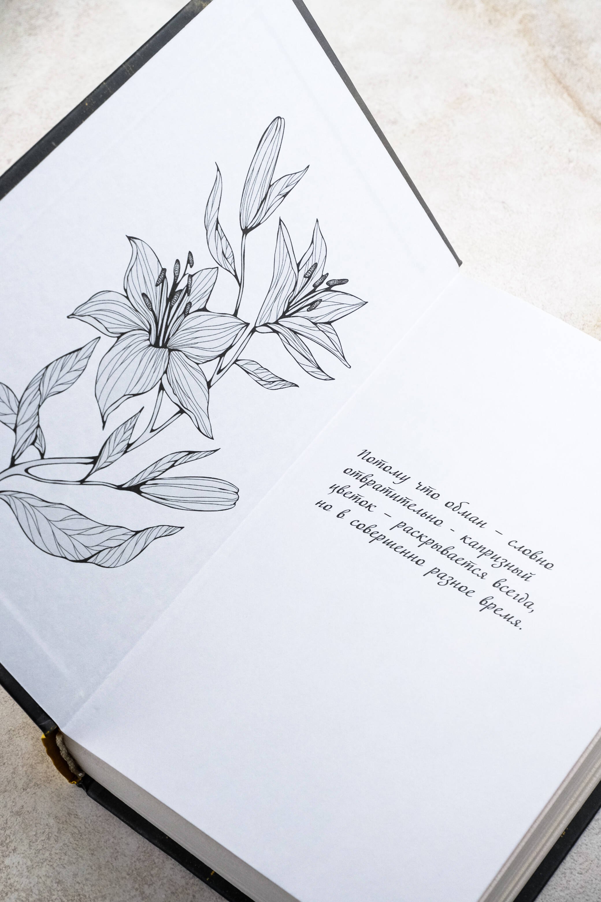 Изображение бумажной книги