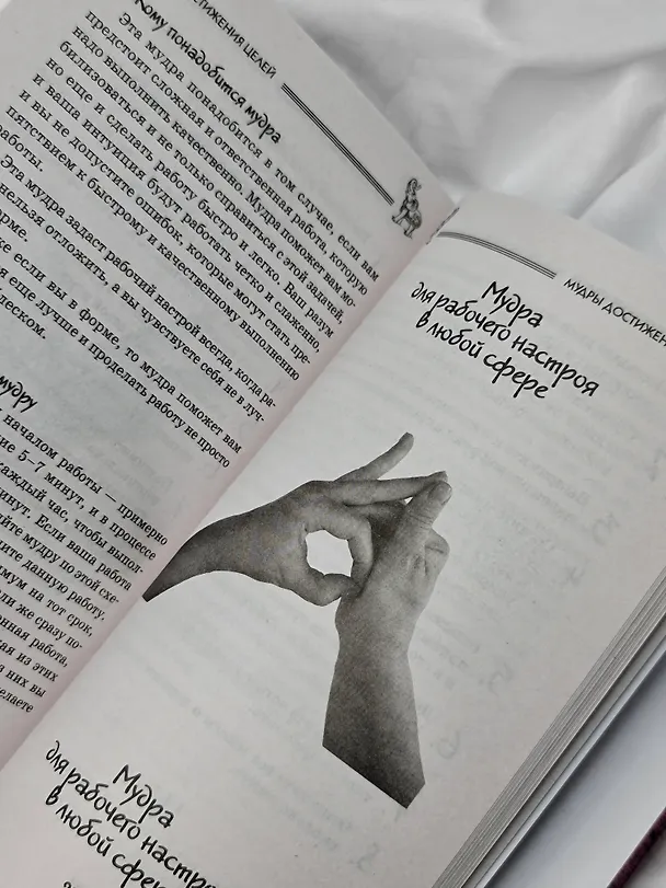 Книга Все мудры, исполняющие желания, в одной книге. Научись управлять вибрациями Вселенной (Петр Левин) — 13