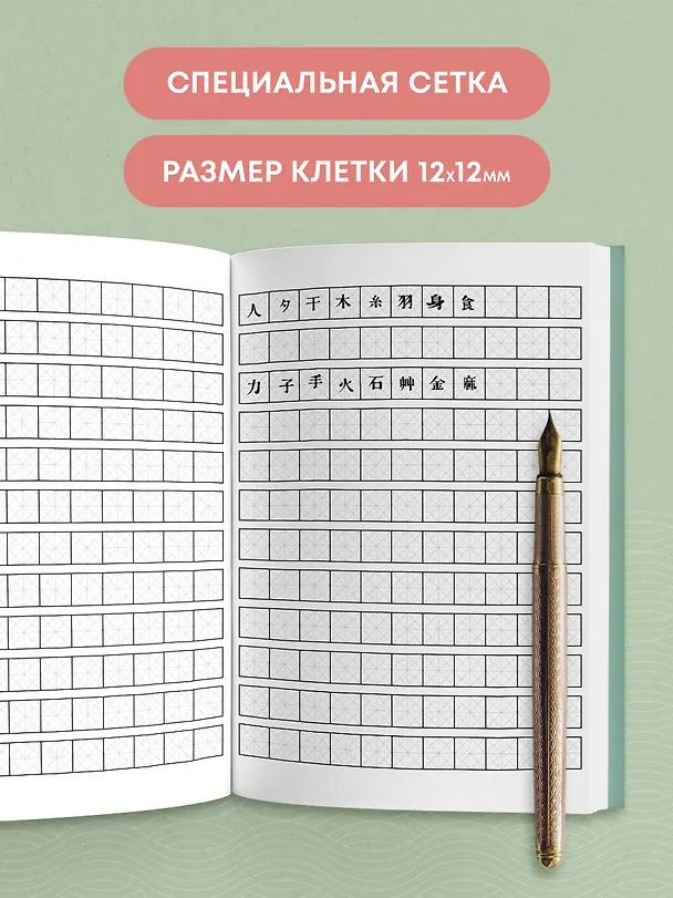 Книга Тетрадь для иероглифов (Фудзи и сакура) () — 6