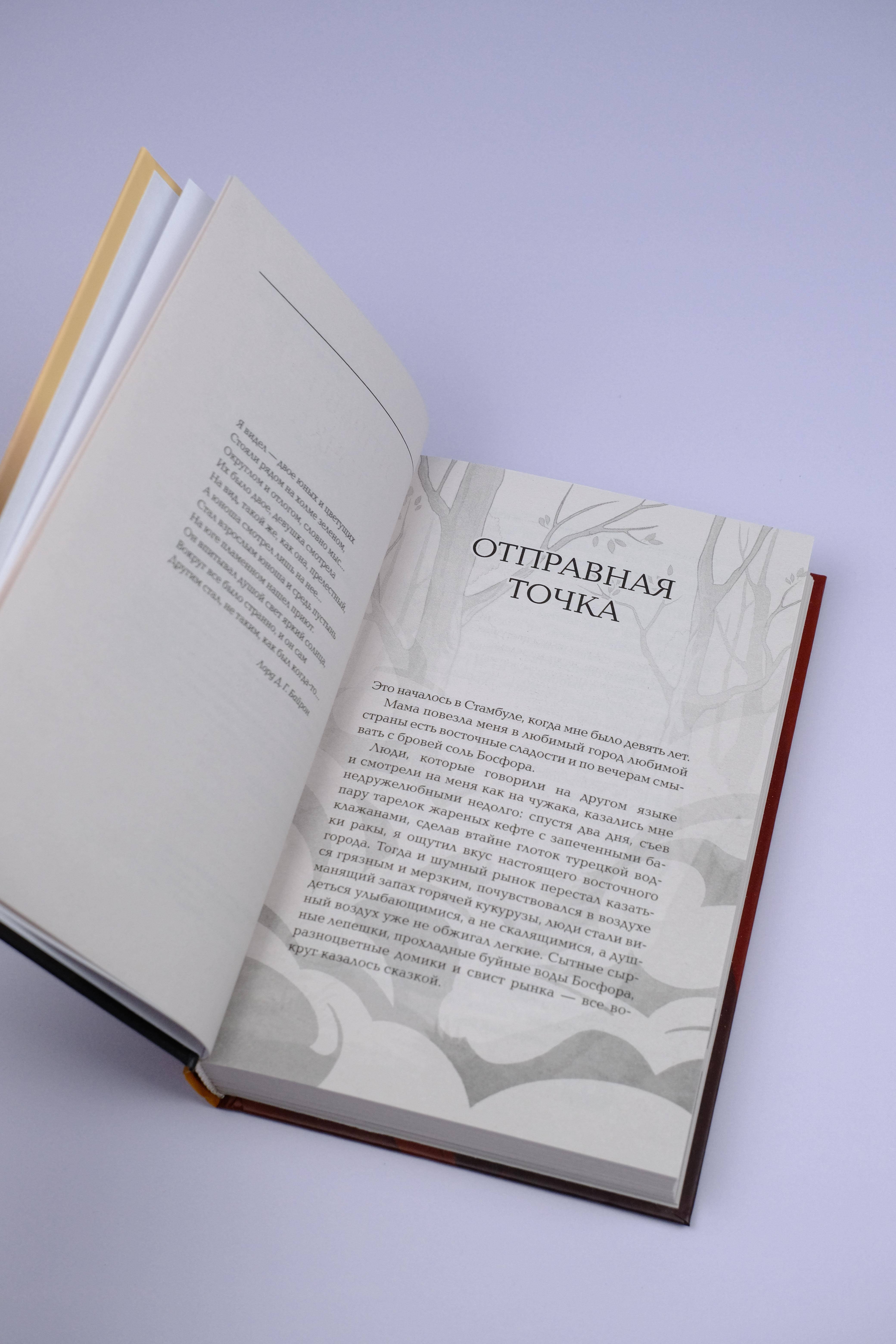 Изображение бумажной книги