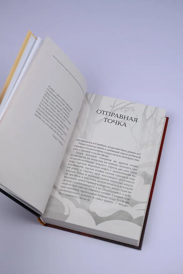 Книга Герой туманной долины (Пола Гарнет) — 9