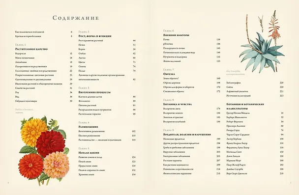 Книга Ботаника для садоводов (Джефф Ходж) — 10