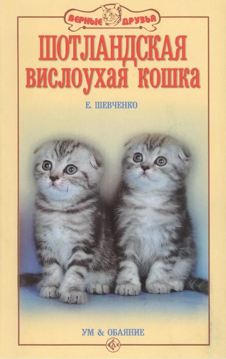 Шотландская вислоухая кошка. Ум и обаяние. (н/о) (Елена Шевченко) - купить  книгу с доставкой в интернет-магазине «Читай-город». ISBN: 978-5-4238-0170-0