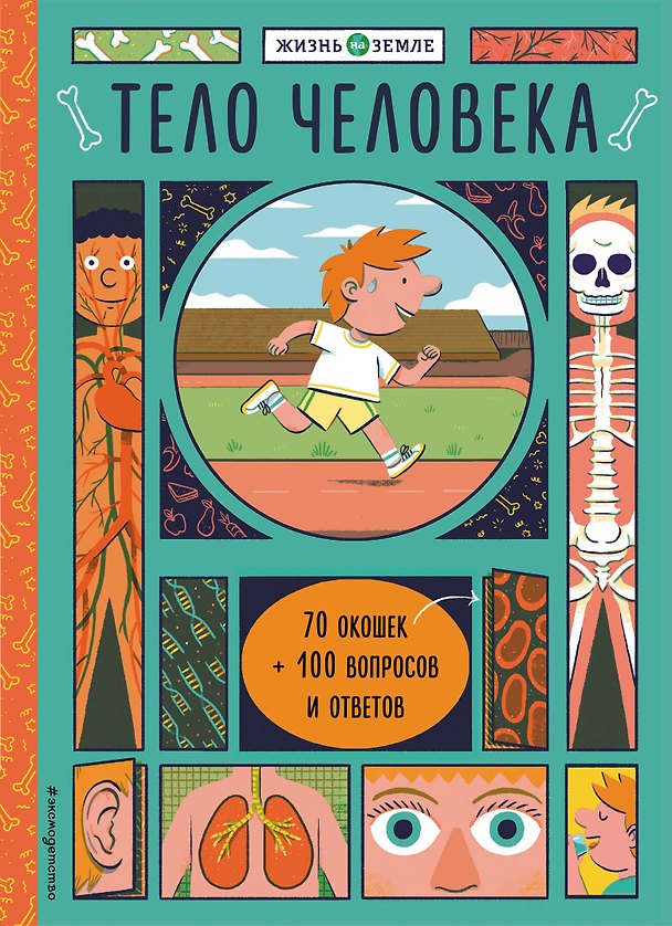 Книга Тело человека (с окошками) (Хизер Александер) — 1