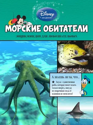 Морские обитатели — 2465628 — 1