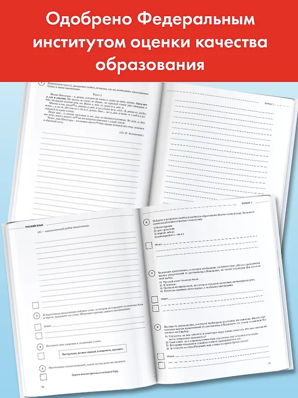 Книга Русский язык. Большой сборник тренировочных вариантов проверочных работ для подготовки к ВПР. 6 класс (Ирина Текучева) — 4