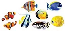 Наклейки для дома, Декоретто, Рыбы Красного моря