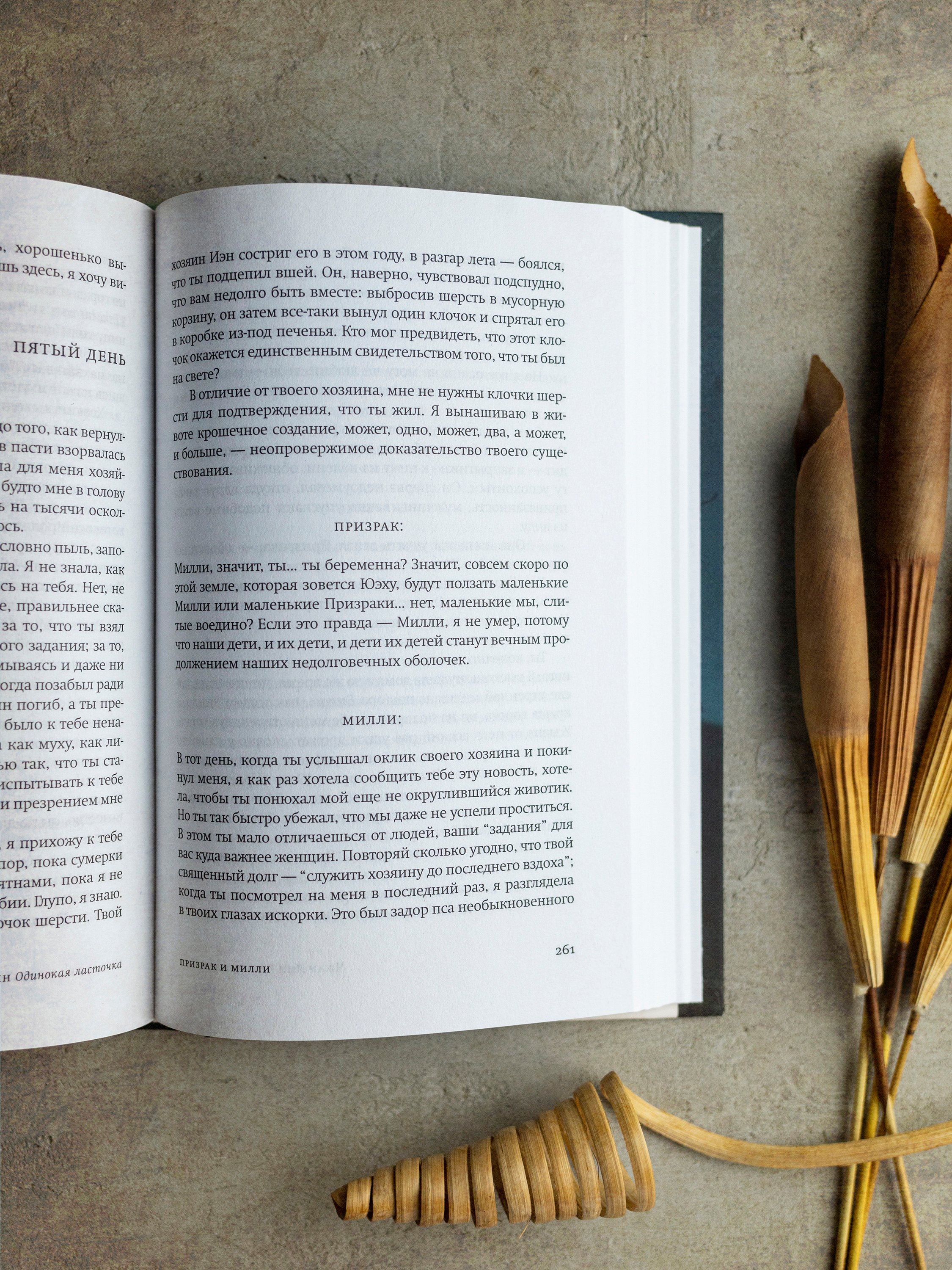 Изображение бумажной книги