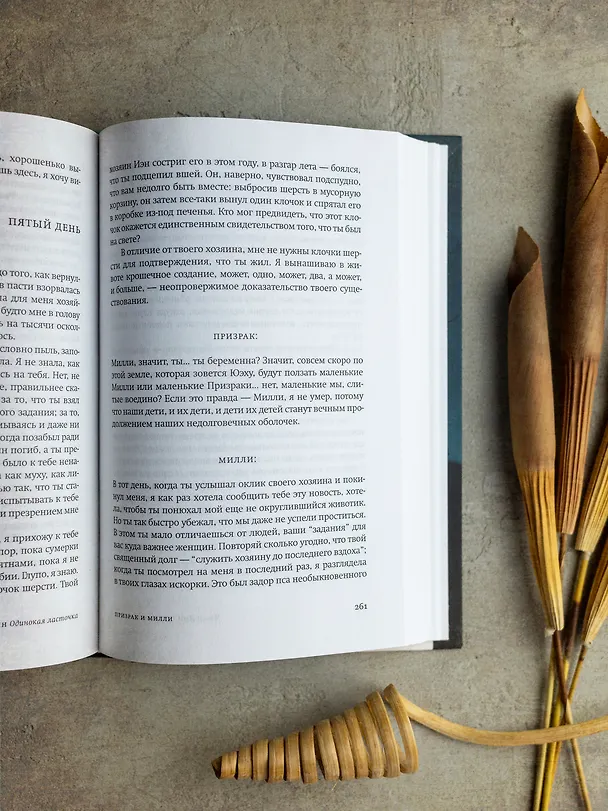 Книга Одинокая ласточка (Чжан Лин) — 11