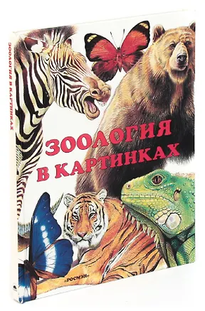 Книга Зоология в картинках (Александр Барков)