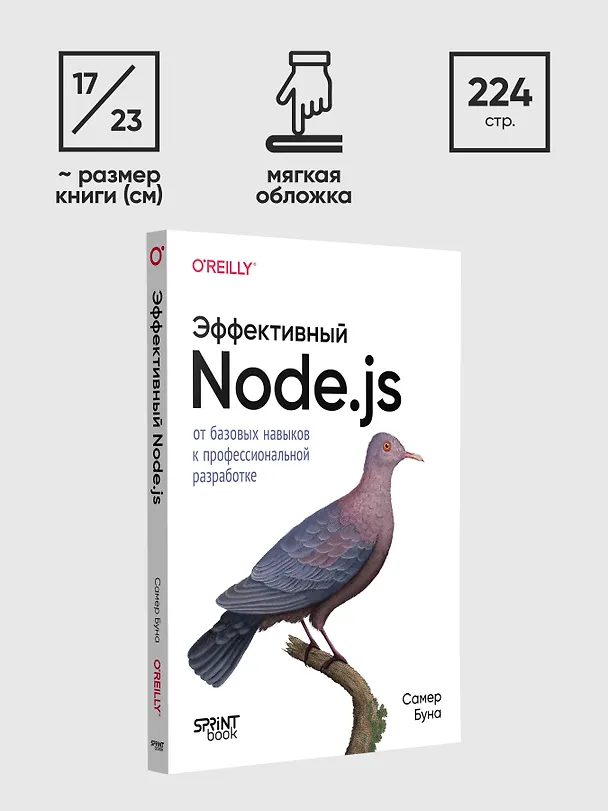 Книга Эффективный Node.js: От базовых навыков к профессиональной разработке (Самер Буна) — 11