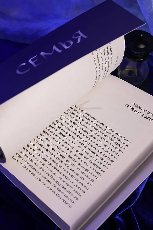 Книга Призрачное расследование (Лина Шир) — 14
