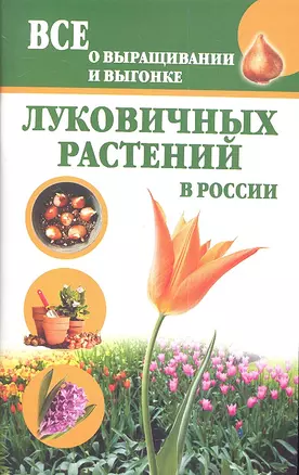 Луковичные растения.Все о выращивании — 2334365 — 1