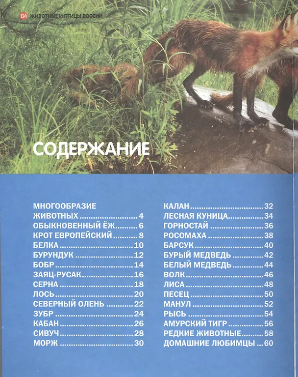 Книга Животные и птицы России () — 2