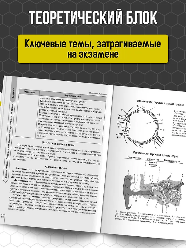 Книга Биология (Наталья Баштанник) — 6