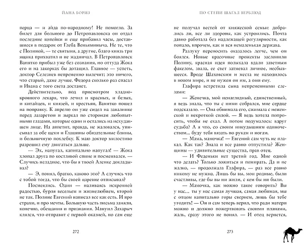 Книга По степи шагал верблюд (Йана Бориз) — 5