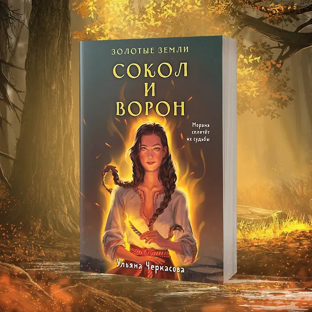 Книга Комплект Золотые Земли (книга Сокол и ворон+тетрадь) (Ульяна Черкасова) — 10