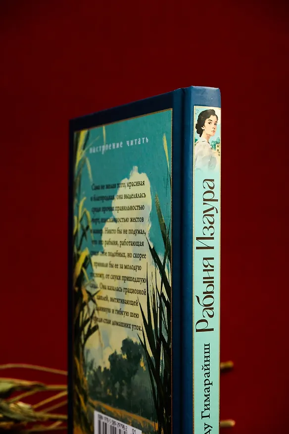 Книга Рабыня Изаура (Бернарду Гимарайнш) — 15