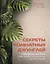 Секреты комнатных джунглей. О чем молчат растения и как понять, что им нужно на самом деле — 3135069 — 1