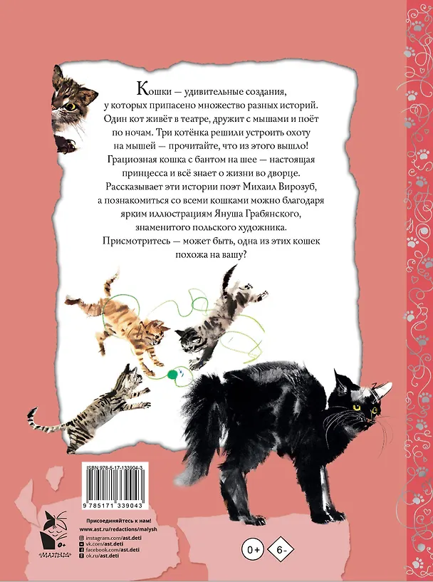 Книга Удивительные кошачьи истории (Михаил Вирозуб) — 2
