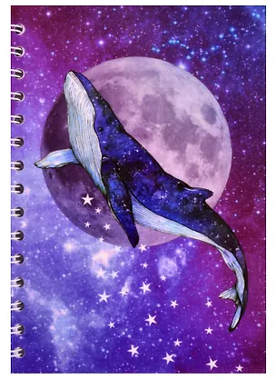 Тетрадь в клетку Hai Bin, "Кит и луна", 80 листов 261905