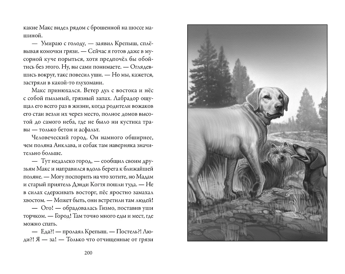 Верные. Книга 1. Когда исчезли все люди (Кристофер Холт) - купить книгу с  доставкой в интернет-магазине «Читай-город». ISBN: 978-5-389-14775-1