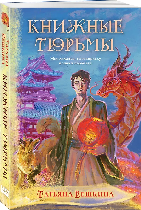 Книга Книжные тюрьмы (Татьяна Вешкина) — 4