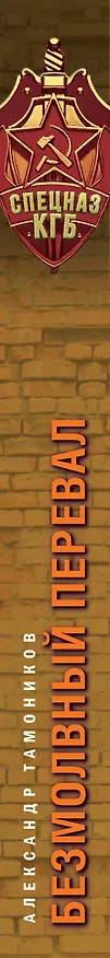 Книга Безмолвный перевал (Александр Тамоников) — 3