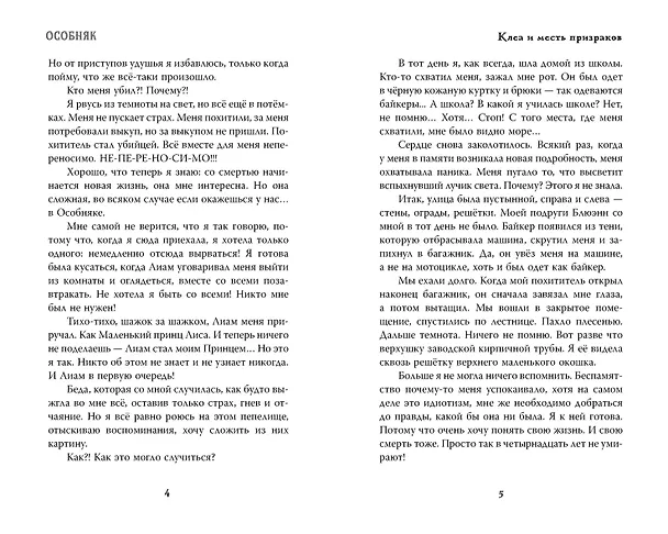 Книга Особняк. Клеа и месть призраков (Эвелин Бризу-Пеллен) — 15