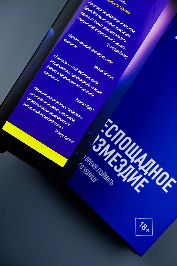 Книга Беспощадное возмездие (Роберт Брындза) — 12