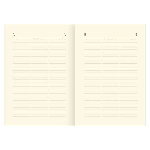 Ежедневник недатированный «Mesmerize journal. Enigma» А5, 136 листов, экокожа, Greenwich Line 3114235 — 2