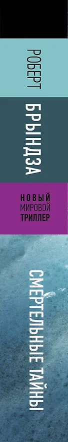 Книга Смертельные тайны (Роберт Брындза) — 3