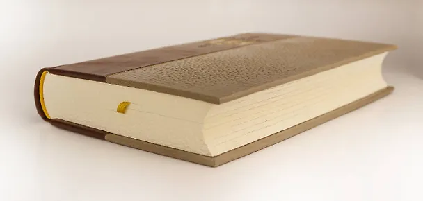 Книга Владимир Мономах. Русская правда. Устав. Поучение. Коллекционное иллюстрированное издание премиум-класса в кожаном переплете ручной работы в стиле 19 века с бинтами, красочным тиснением и торшонированными обрезами (Владимир Мономах) — 10