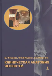 Клиническая анатомия челюстей