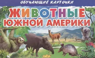 Животные Южной Америки — 2568232 — 1