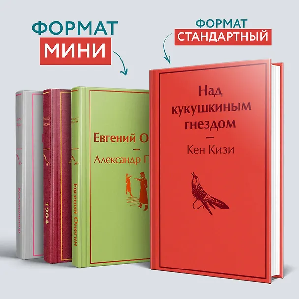 Книга Евгений Онегин: роман в стихах (Александр Пушкин) — 6