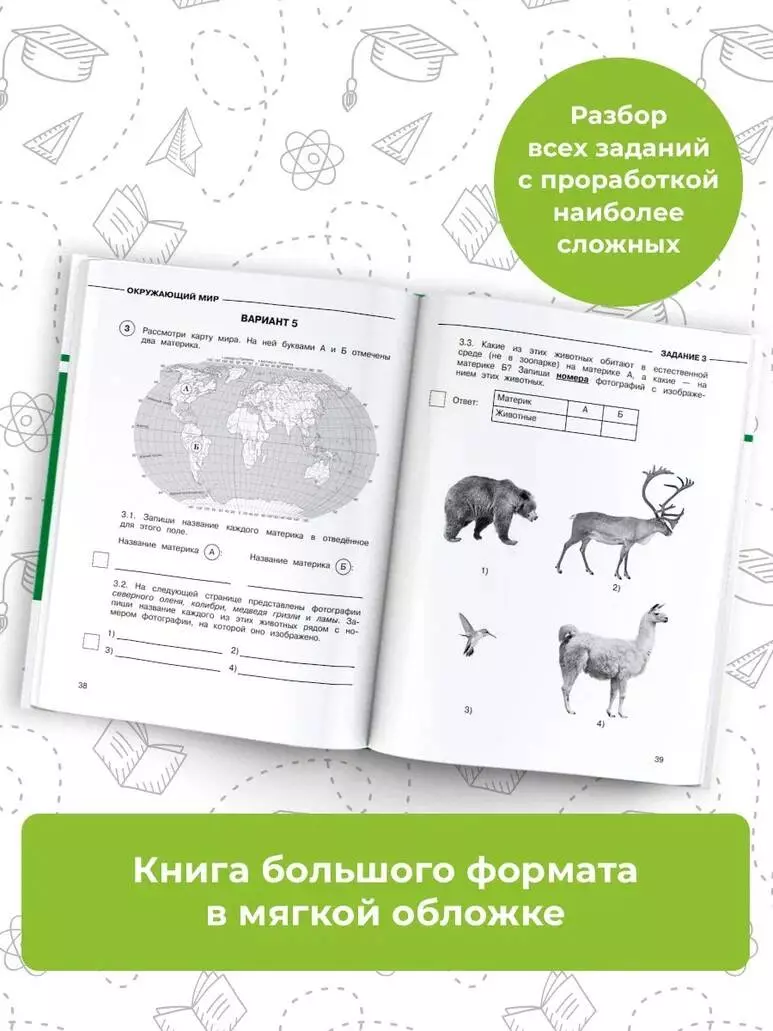 Окружающий мир. Суперсборник для подготовки к Всероссийским проверочным  работам. 4 класс (Светлана Курчина) - купить книгу с доставкой в  интернет-магазине «Читай-город». ISBN: 978-5-17-146278-9