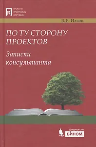 По ту сторону проектов. Записки консультанта