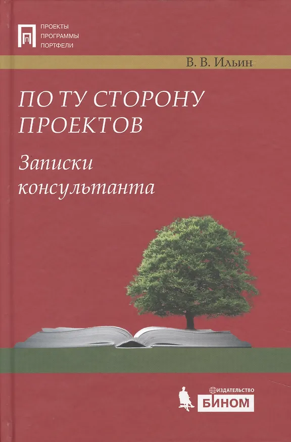 Книга По ту сторону проектов. Записки консультанта (Владислав Ильин) — 1