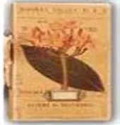 Фотоальбом, TUDOR10HC-149S на 24 фото