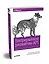 Непрерывное развитие API. Правильные решения в изменчивом технологическом ландшафте — 2763256 — 2