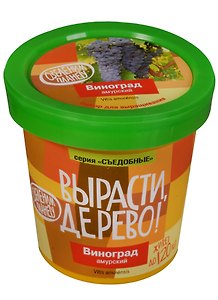 Набор для опытов и экспериментов Набор Вырасти дерево! Виноград Амурский zk-057