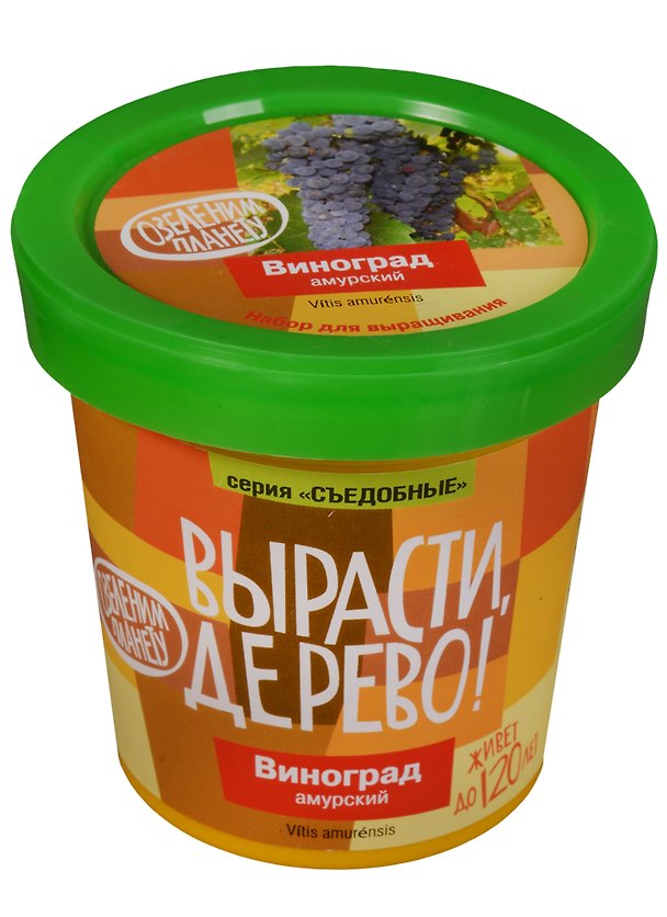 Набор для опытов и экспериментов Набор Вырасти дерево! Виноград Амурский zk-057 2585629 — 1
