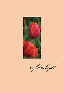 Ежедневник недат. А5 72л "Чувствуй!"