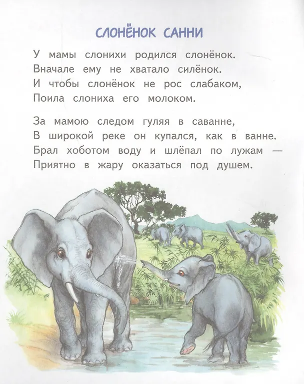 Книга Слонёнок Санни (Владимир Борисов) — 2