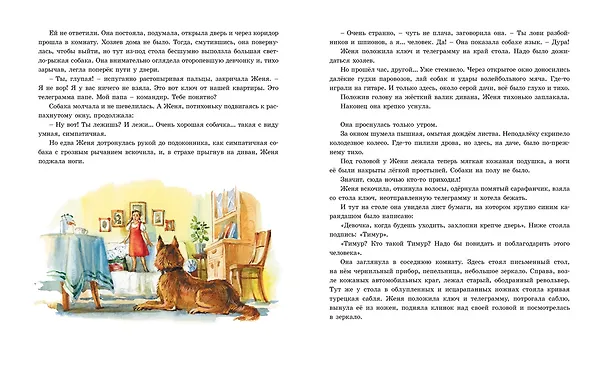 Книга Тимур и его команда (Аркадий Гайдар) — 10