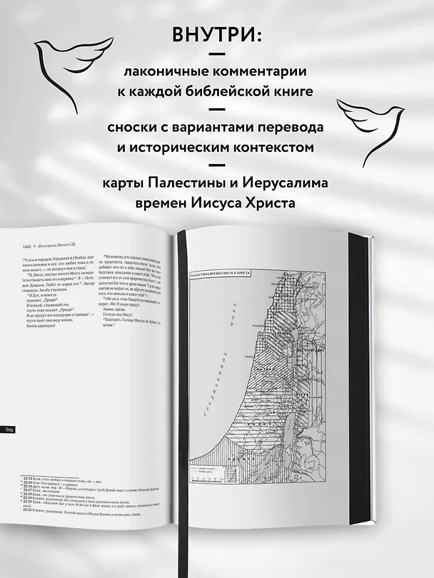 Книга Библия: в современном русском переводе () — 7