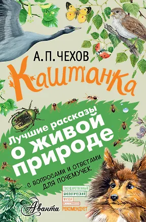 Книга Каштанка (Антон Чехов)